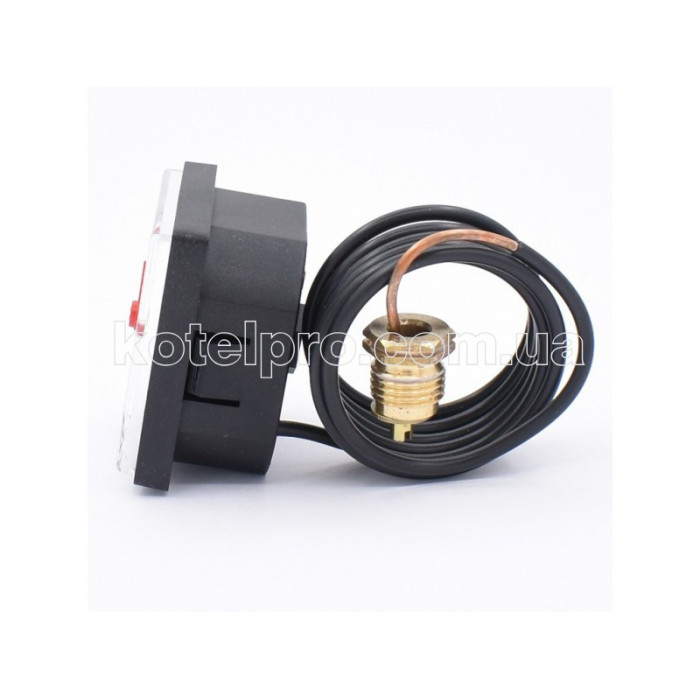 Манометр для  газового котла Protherm Тигр Ведмідь Скат KTV KLO 0020027570