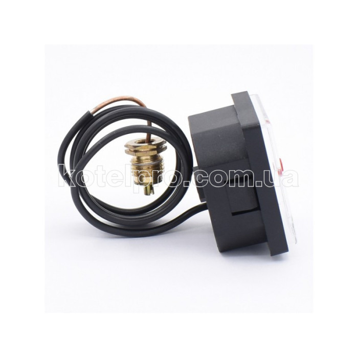 Манометр для  газового котла Protherm Тигр Ведмідь Скат KTV KLO 0020027570